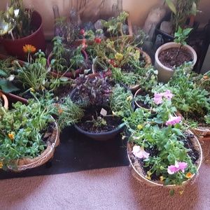 Meet your Posher, Connie